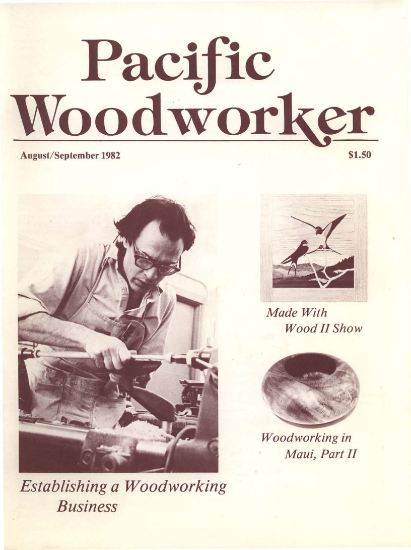 Popular woodworking 8