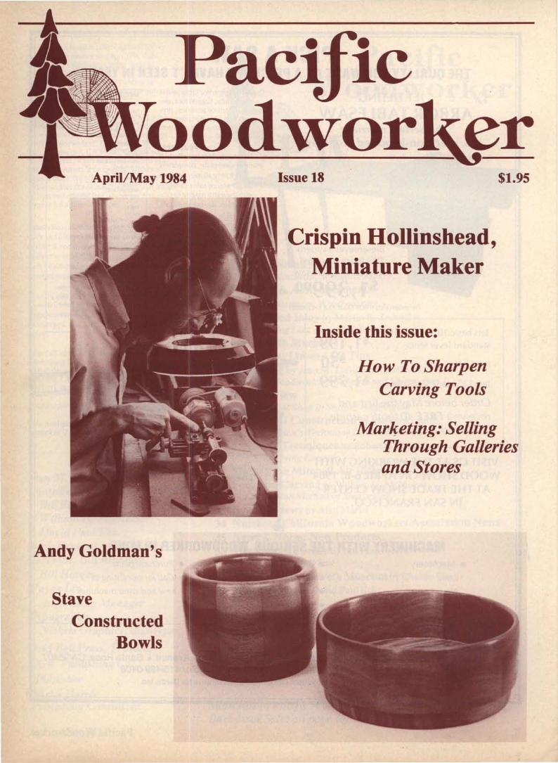 Popular woodworking 18