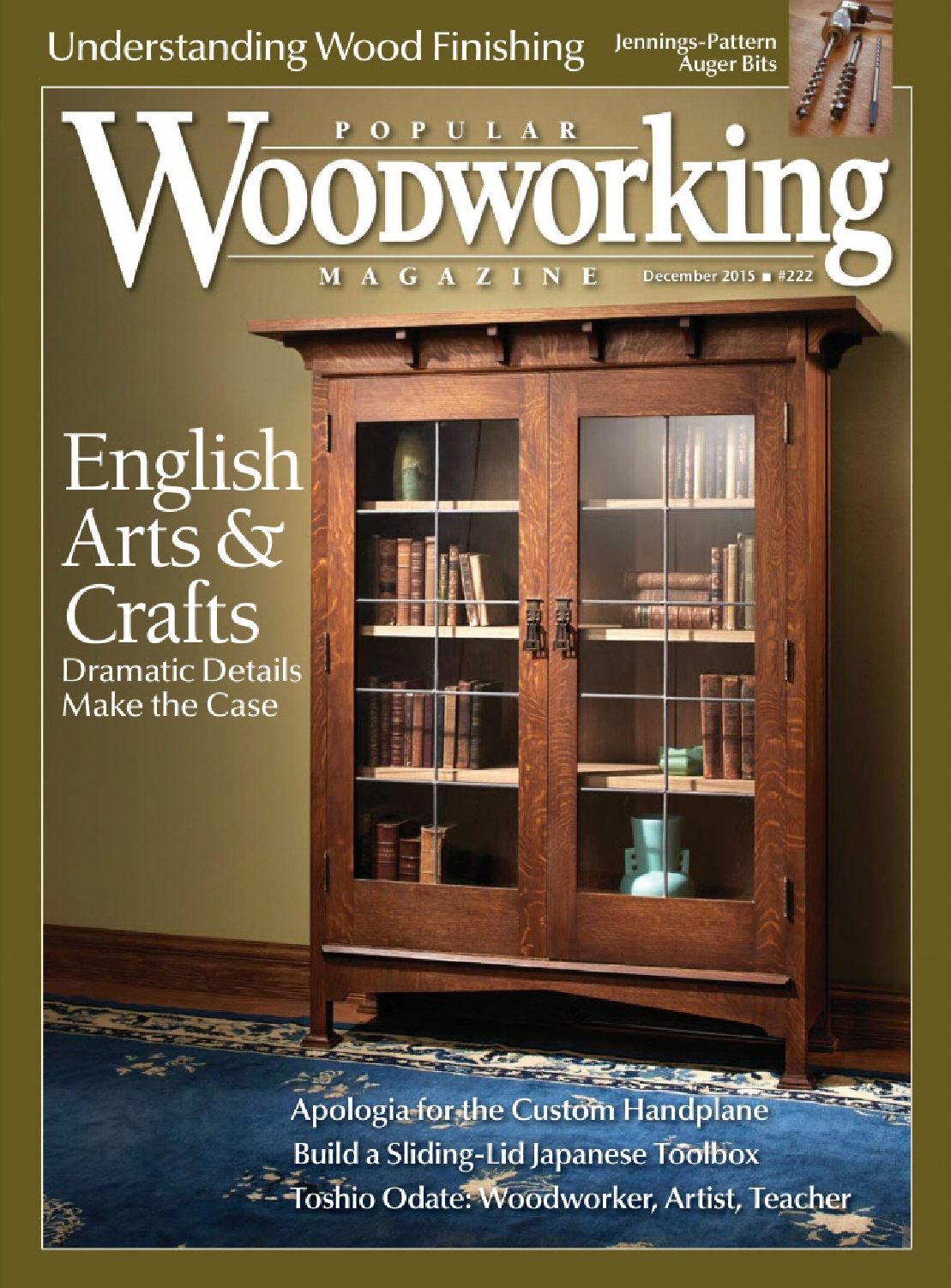 Popular woodworking 222