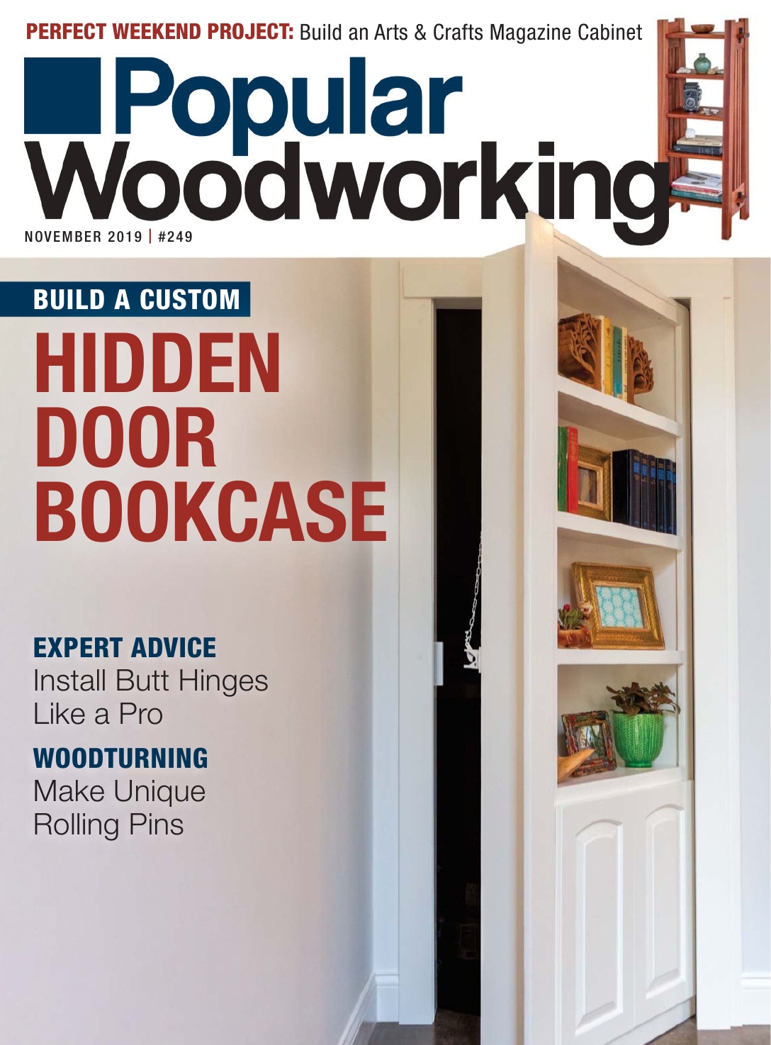 Popular woodworking 249