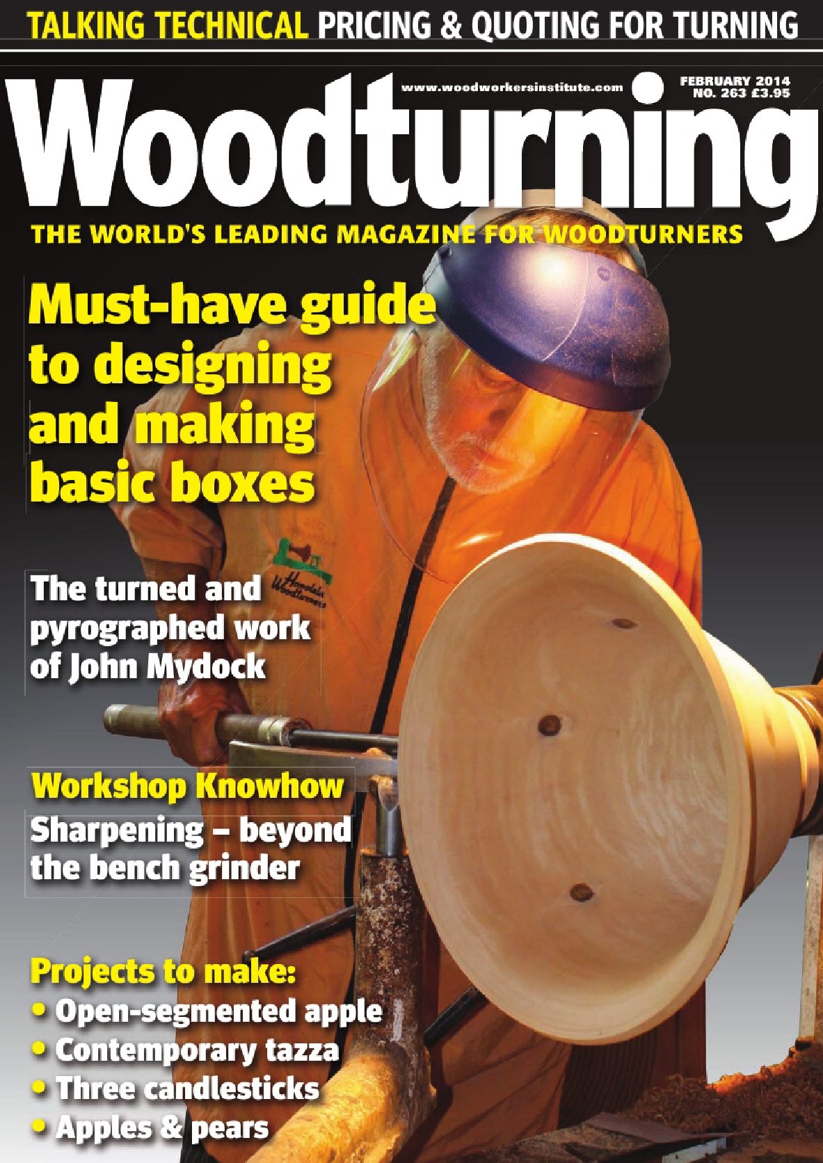 Woodturning 263