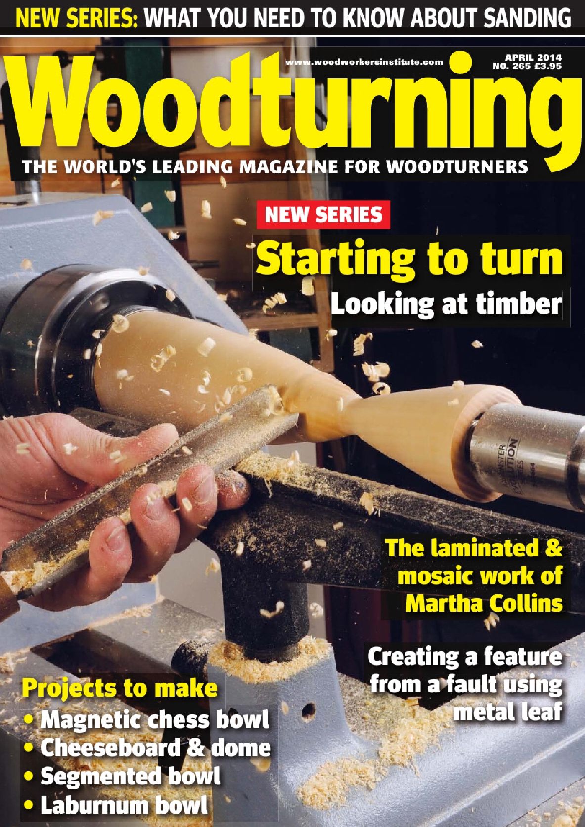 Woodturning 265
