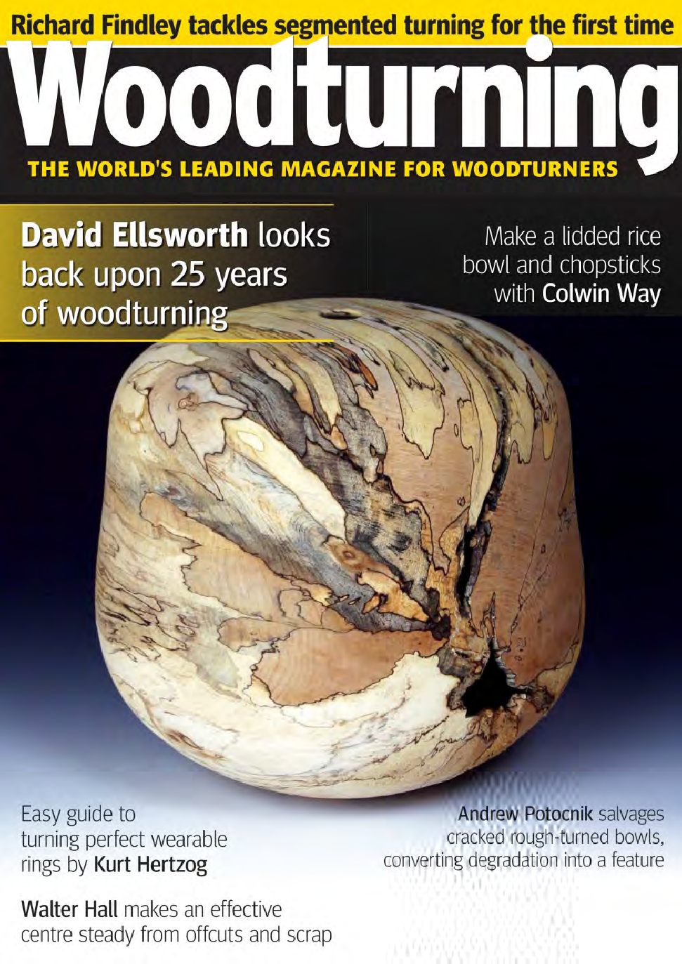 Woodturning 294