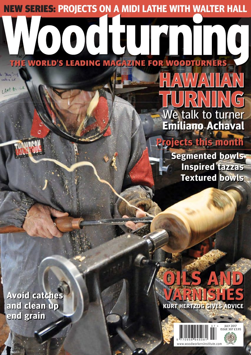 Woodturning 307