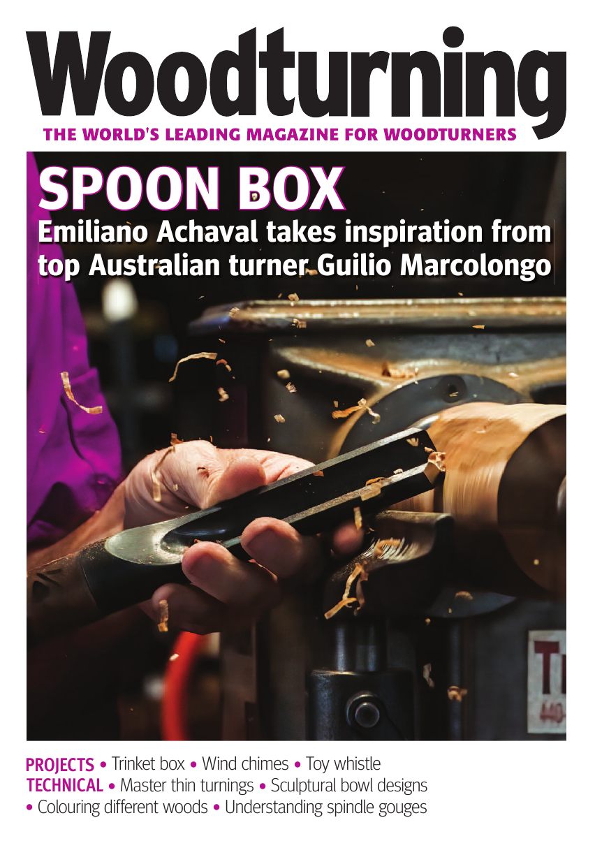 Woodturning 346
