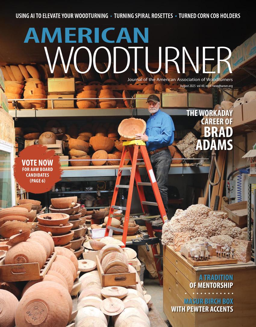 American woodturner v40.42025-08