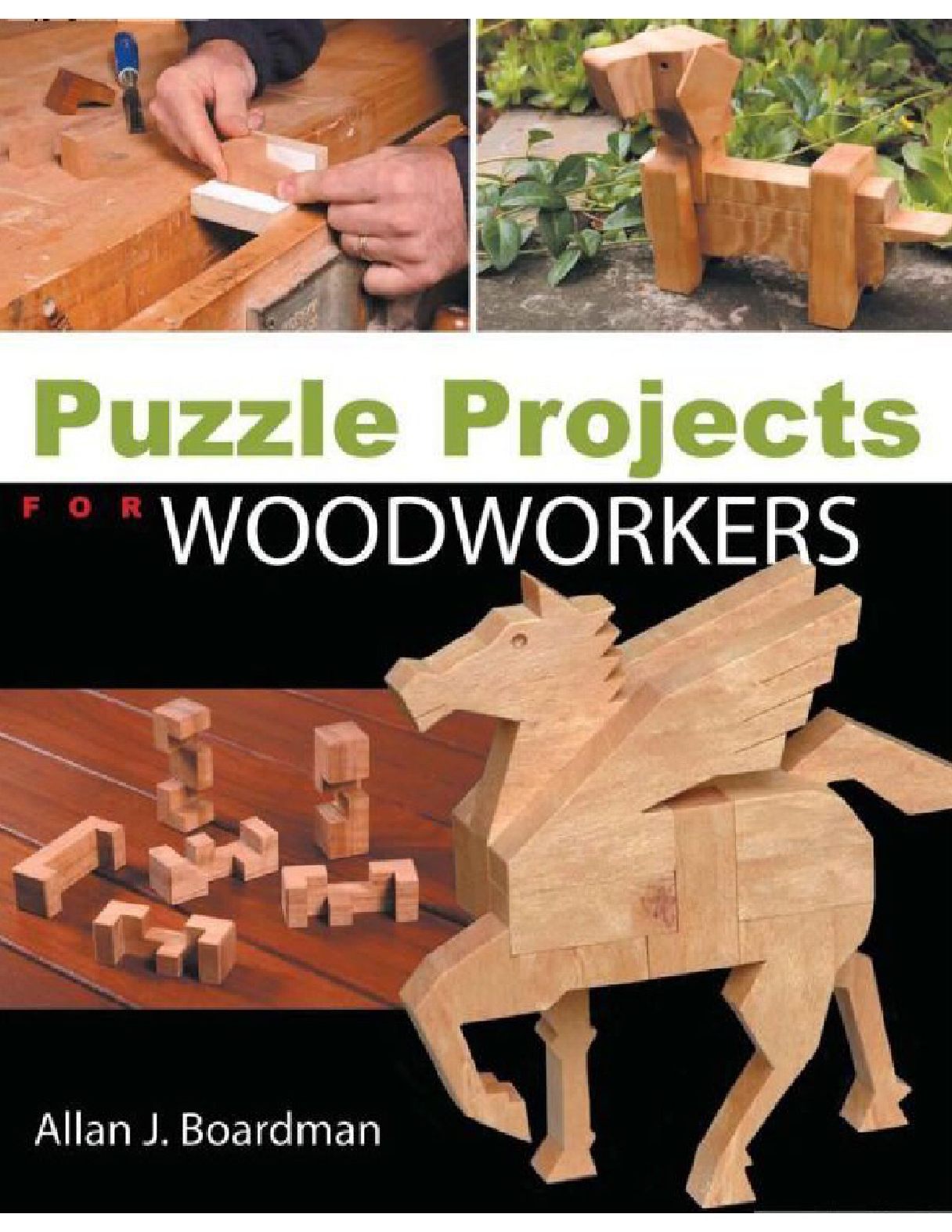 Puzzle Projects for Woodworkers 2007_益智项目木材 89页