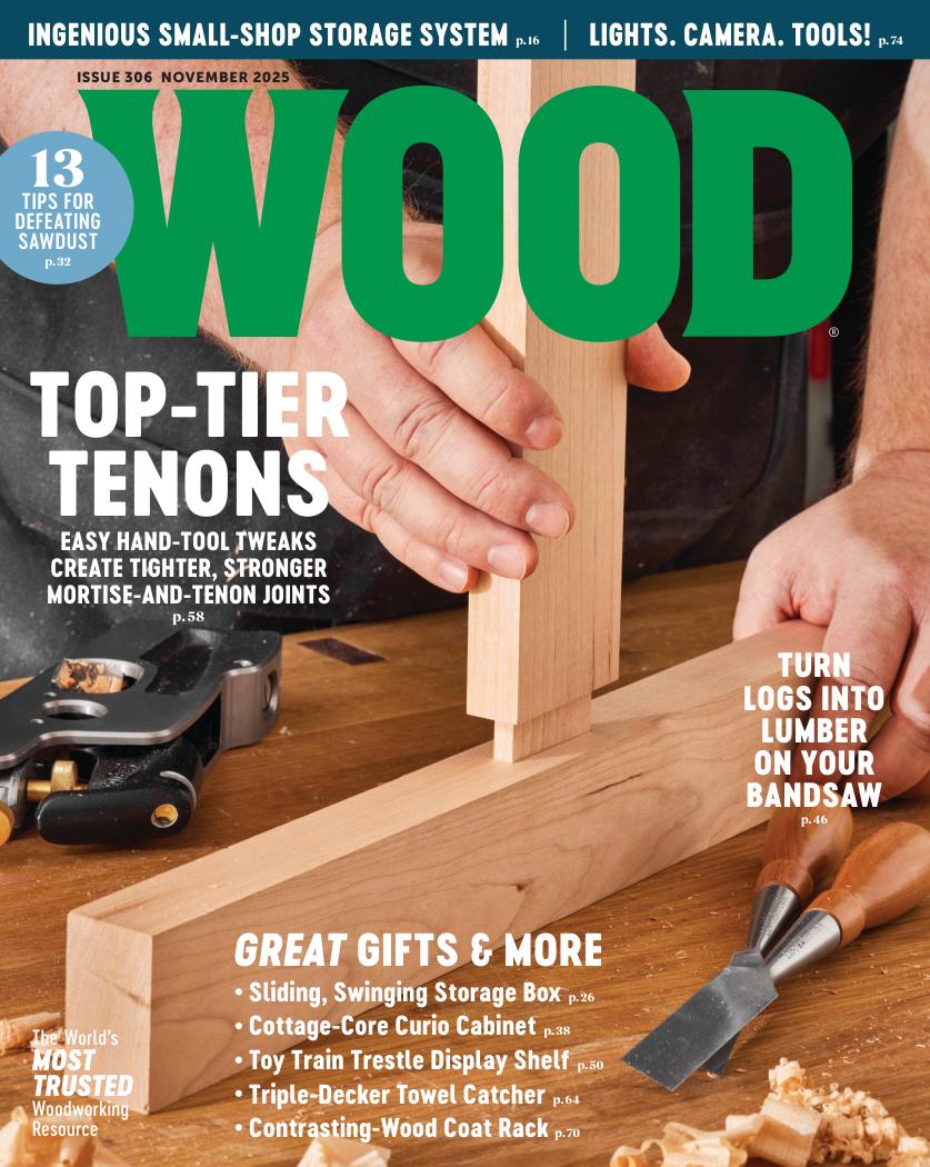 Wood Magazine 306