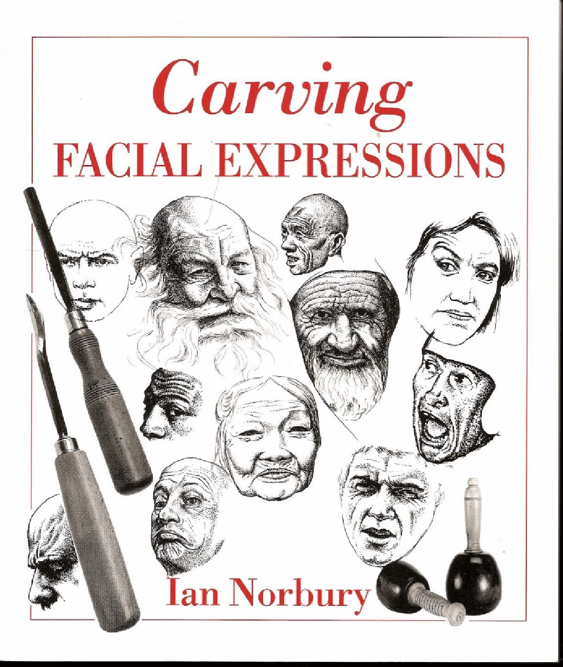 Carving Facial Expressions 64页